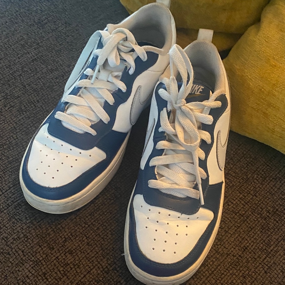 Nike Court Borough Low 2